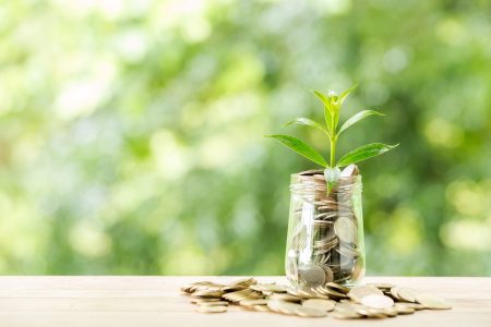 Plant growing from coins in the glass jar on blurred green natural background. copy space for business and financial growth concept.